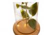 Rose blanche en verre - avec LED 3