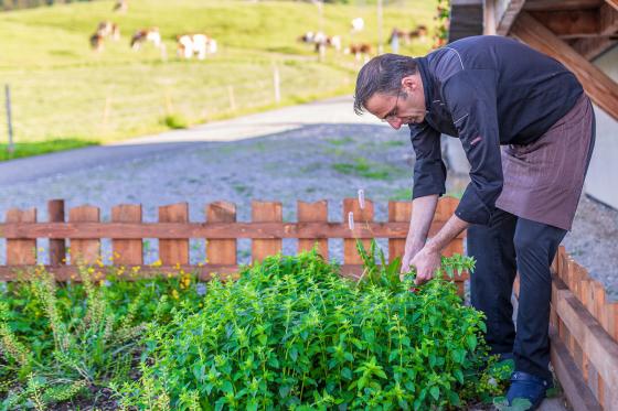 Romantik Übernachtung - 1 Nacht im romantischen Superior Zimmer zu zweit 12 