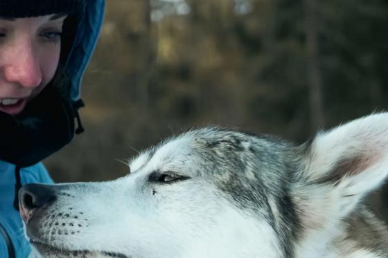 Promenade en traîneau tiré par des huskies - à Saas-Almagell pour 2 personnes  