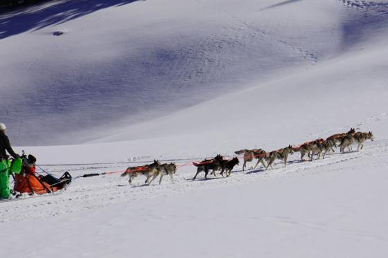 Promenade en traîneau tiré par des huskies - à Saas-Almagell pour 2 personnes 3 