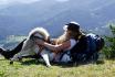 Husky Kuschelzeit - mit 3km Trekkingtour für 1 Person 