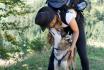 Husky Kuschelzeit - mit 3km Trekkingtour für 1 Person 1