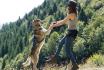 Husky Kuschelzeit - mit 3km Trekkingtour für 1 Person 8