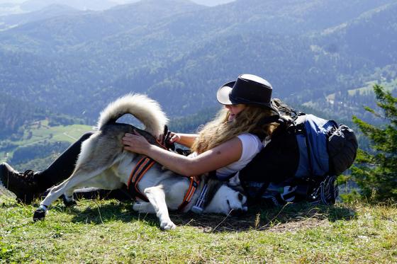 Husky Kuschelzeit - mit 3km Trekkingtour für 1 Person  