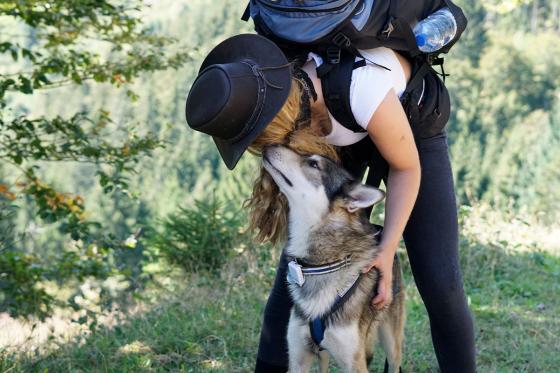 Husky Kuschelzeit - mit 3km Trekkingtour für 1 Person 1 