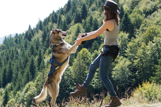 Husky Kuschelzeit - mit 3km Trekkingtour für 1 Person 8 