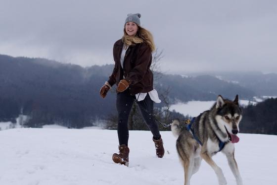Husky Kuschelzeit - mit 3km Trekkingtour für 1 Person 10 