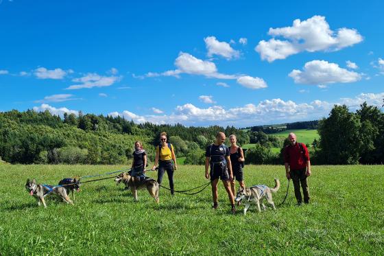 Husky Kuschelzeit - mit 3km Trekkingtour für 1 Familie mit bis zu 3 Kindern 4 
