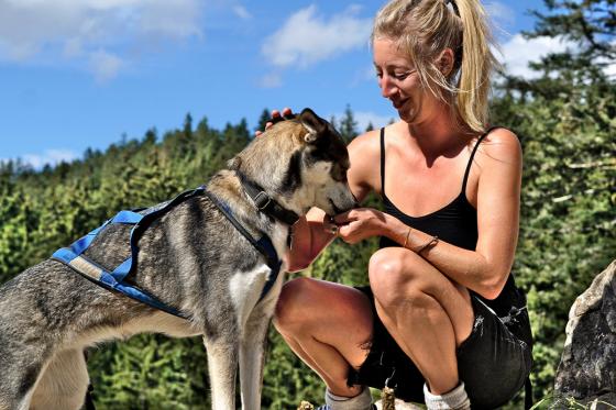 Husky Kuschelzeit - mit 3km Trekkingtour für 1 Familie mit bis zu 3 Kindern 6 