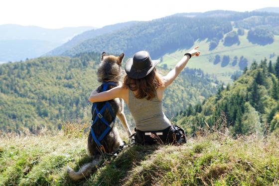 Husky Kuschelzeit - mit 3km Trekkingtour für 1 Familie mit bis zu 3 Kindern 7 