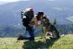 Husky Trekking - in Schwarzwald für 2 Erwachsene 2