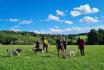 Husky Trekking - in Schwarzwald für 2 Erwachsene 3