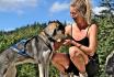 Husky Trekking - in Schwarzwald für 2 Erwachsene 5