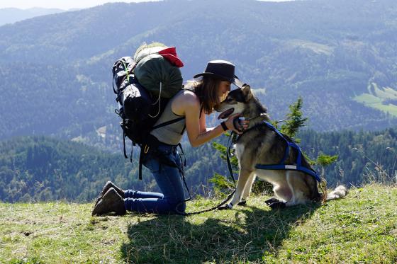 Husky Trekking - in Schwarzwald für 2 Erwachsene 2 