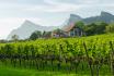 Weintour Bündner Herrschaft - halbtägige Weintour für 2 Personen 6