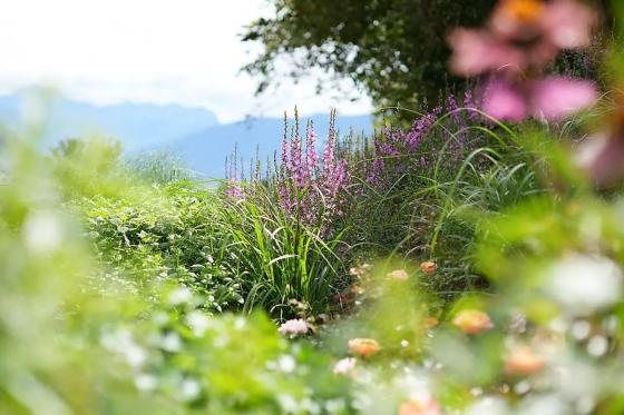 Day Spa au Sud de Tyrol - Journée bien-être à Vinschgau, pour 2 personnes 10 