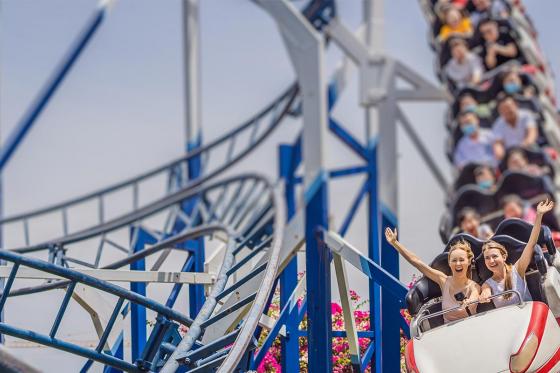 Journée à Europa-park  - 1 entrée journalière avec transport, pour 1 adulte  