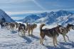 Initiation au traîneau - Une demi-journée avec des Huskies, pour 2 personnes  