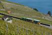 Tour en train & dégustation de vin - Vignoble de Lavaux, pour 2 personnes 4