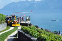 Zugfahrt & Weinverkostung - Weinberge von Lavaux, für 2 Personen