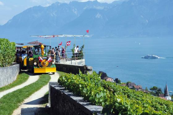 Zugfahrt & Weinverkostung - Weinberge von Lavaux, für 2 Personen  