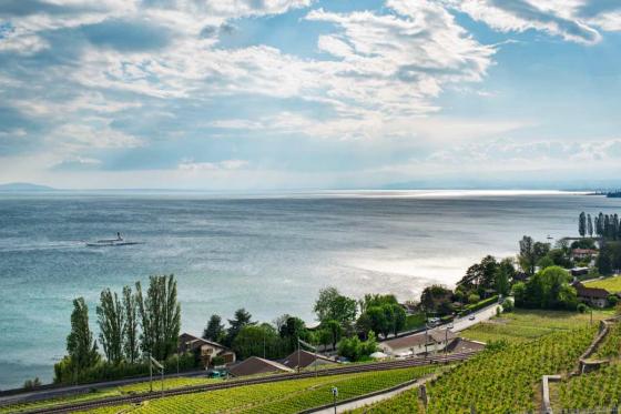 Zugfahrt & Weinverkostung - Weinberge von Lavaux, für 2 Personen 1 