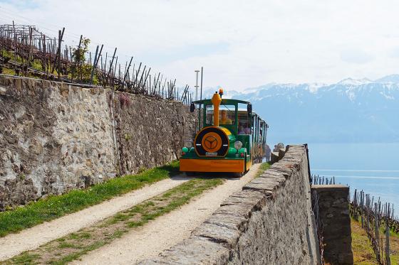Zugfahrt & Weinverkostung - Weinberge von Lavaux, für 2 Personen 3 