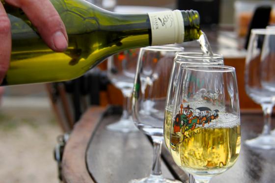 Zugfahrt & Weinverkostung - Weinberge von Lavaux, für 2 Personen 5 