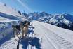 Balade tiré par des Huskies - En traîneau, à Verbier, pour 2 personnes 2