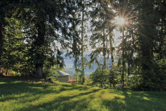 Court séjour dans une yourte - Tir à l'arc et espace barbecue, pour 2 adultes et 2 enfants 6 