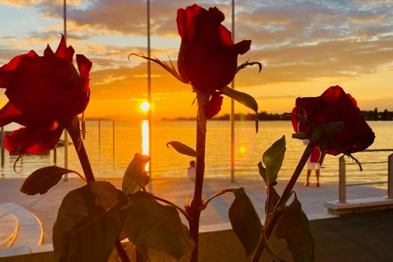 Romantic-Dinner auf dem Schiff - im Hafen Ermatingen für 2 Personen 11 