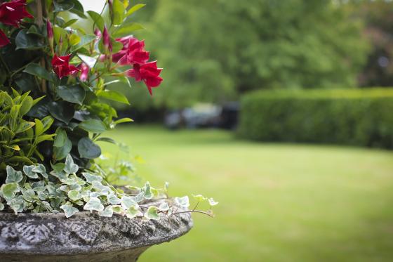 Séjour & dégustation de vin - 1 nuit à Yverdon et vins à découvrir 6 