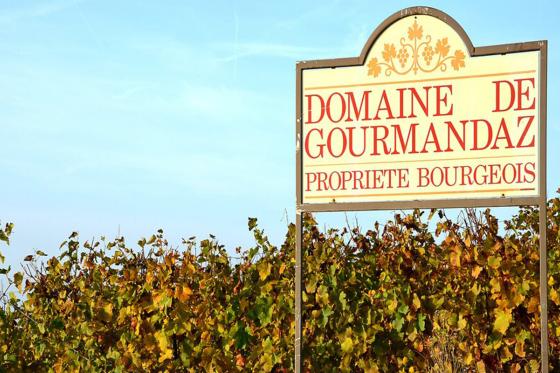 Séjour & dégustation de vin - 1 nuit à Yverdon et vins à découvrir 10 