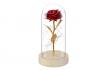 Ewige Rose im Glas - mit LED Lichter 