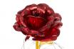 Ewige Rose im Glas - mit LED Lichter 3