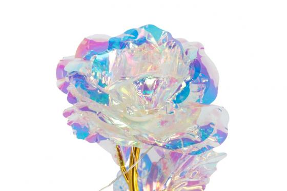 Rose lumineuse et son dôme en verre - Colorée 2 