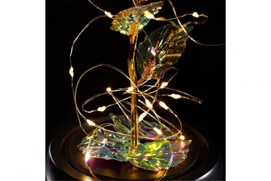 Rose lumineuse et son dôme en verre - Colorée 3 