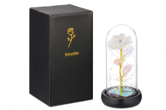 Rose lumineuse et son dôme en verre - Colorée 4 