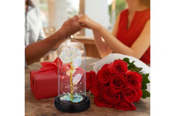 Rose lumineuse et son dôme en verre - Colorée 6 