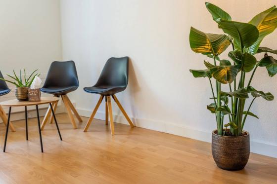 Massage zum Wohlfühlen - 1-stündige Massage nach Wahl 3 