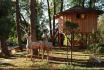 Séjour en cabane - Nuit romantique avec spa & petit déjeuner pour 2 personnes 