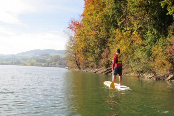 Stand Up Paddle ou Kayak - Location demi-journée  