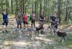 Huskytrekking - um den Stausee Mattmark inkl. Gipfeli und Kaffee für 2 Erwachsene  