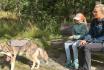 Huskytrekking - um den Stausee Mattmark inkl. Gipfeli und Kaffee für 2 Erwachsene  3