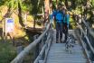 Huskytrekking - um den Stausee Mattmark inkl. Gipfeli und Kaffee für 2 Erwachsene  9