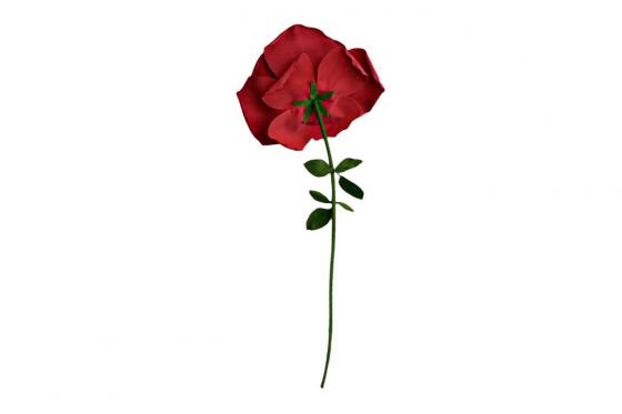 XXL Rose - 1.60 m 2 