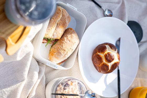 Pedalo Brunch  - Picknick auf dem Vierwaldstättersee für 2 Personen 6 