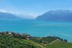 Weinverkostung im Lavaux - Inkl. privater Führung des Weinkellers für 2 Personen 