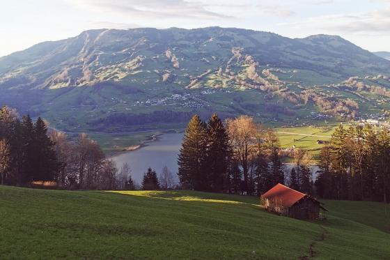 Tiny House Übernachtung  - 1 Übernachtung im Mondholz Tiny House für 2 Personen 8 