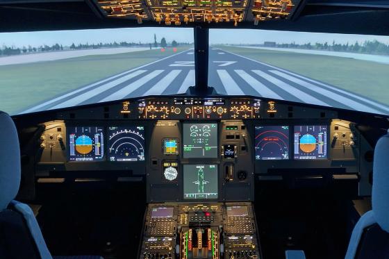 Flugsimulator im Jura - 45 Minuten für 1 Person  